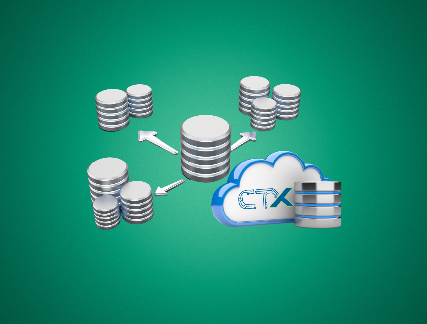 portfolio item photo